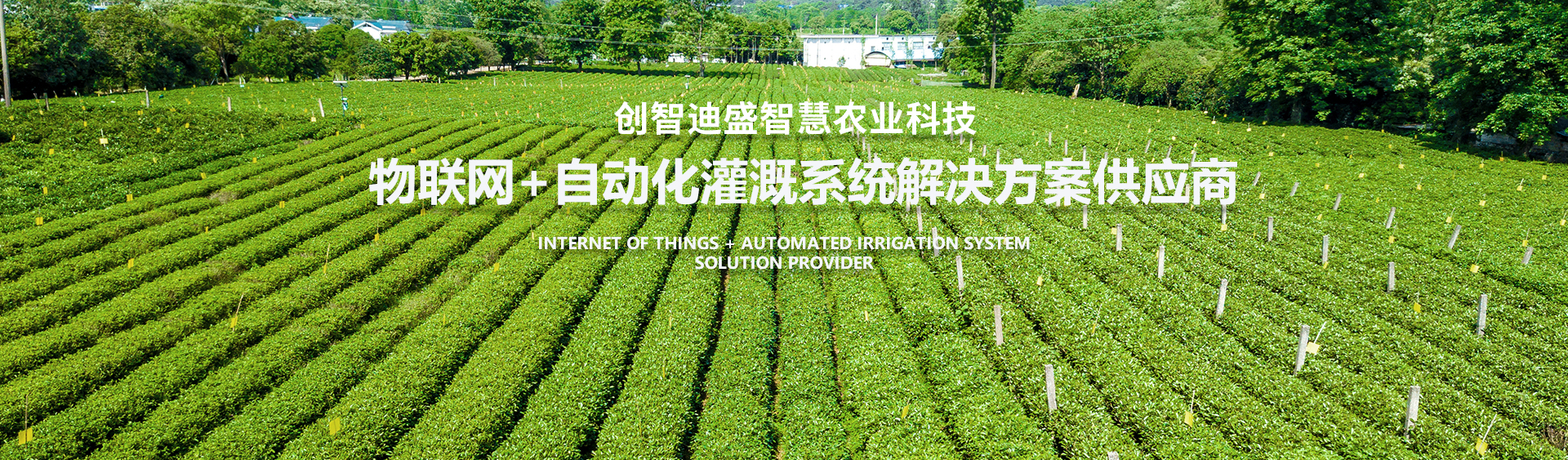 成都創(chuàng)智迪盛智慧農(nóng)業(yè)科技有限公司
